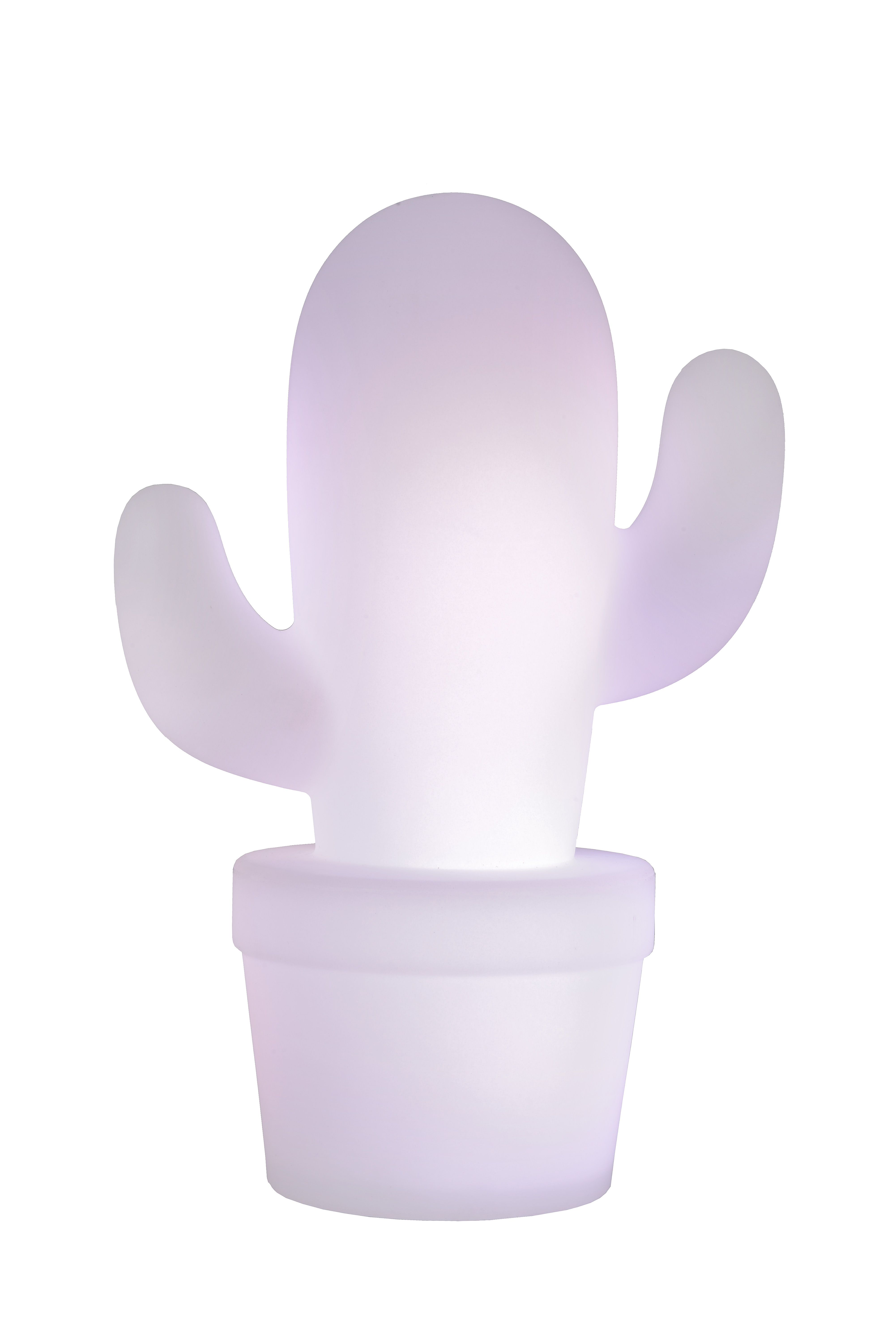 white cactus lamp