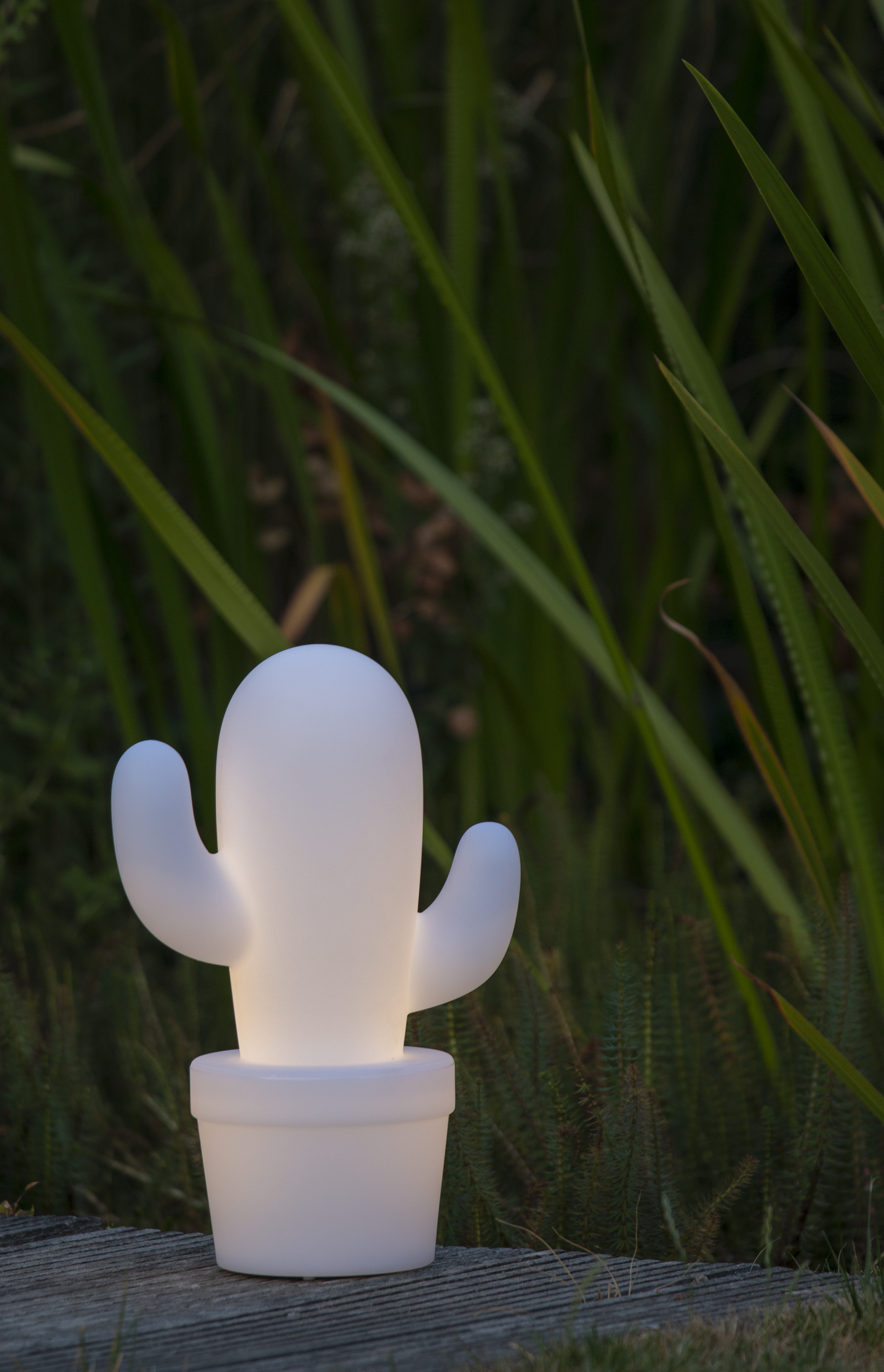 white cactus lamp