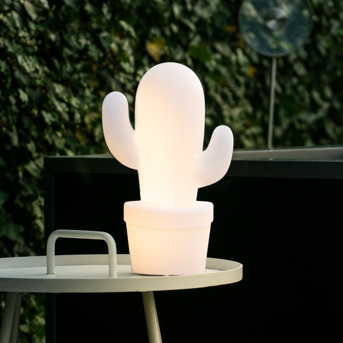 white cactus lamp