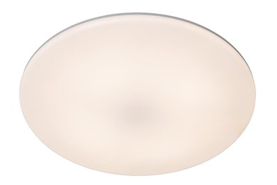 Lucide OLSON - Flush ceiling light Bathroom - Ø 29 cm - LED - CCT - 1x24W 3000K/6500K - IP44 - Opal