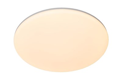 Lucide OLSON - Flush ceiling light Bathroom - Ø 45 cm - LED - CCT - 1x45W 3000K/6500K - IP44 - Opal